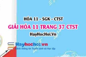 Giải Hóa 11 trang 37 Chân trời sáng tạo SGK